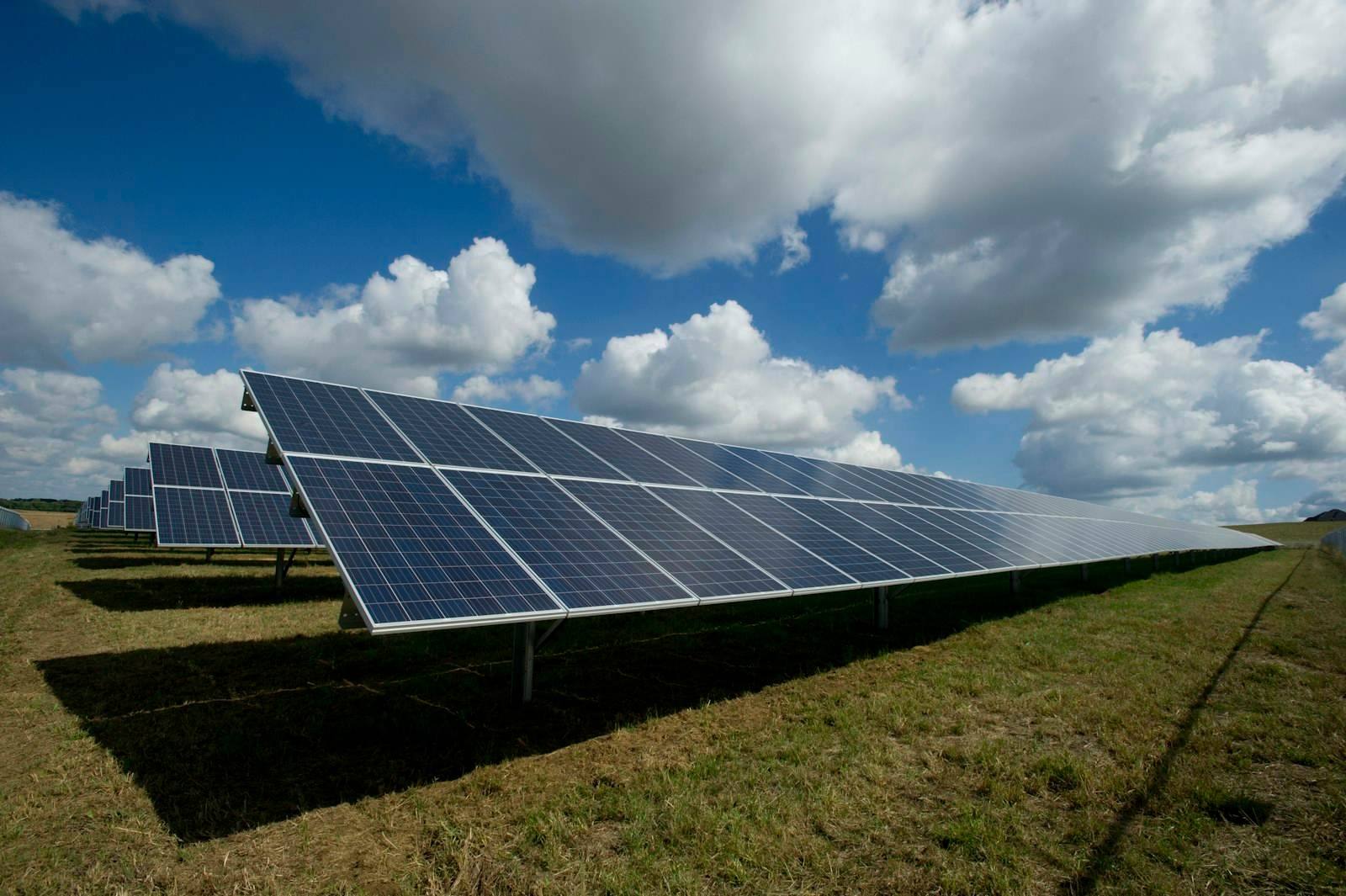 Fileiras de painéis solares em uma usina fotovoltaica